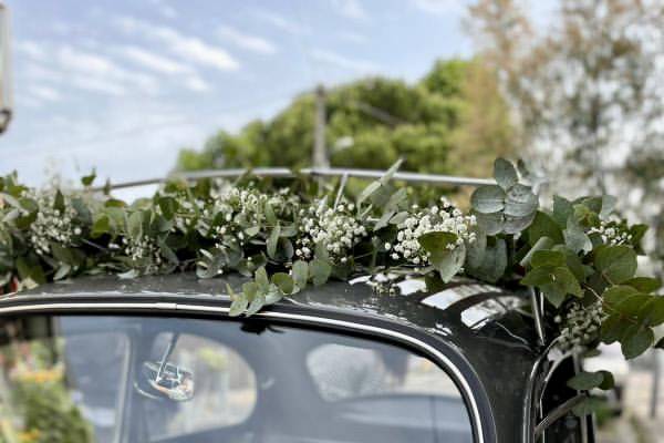 Décorations voiture  Au printemps de Julie