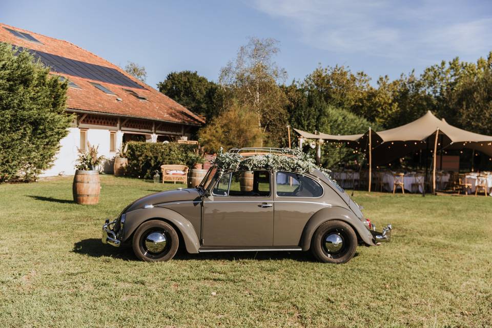 Coccinelle au domaine d’Arès