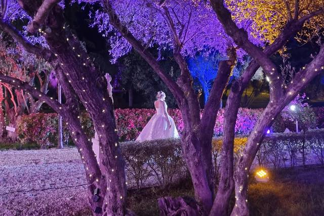 La Mariée défile