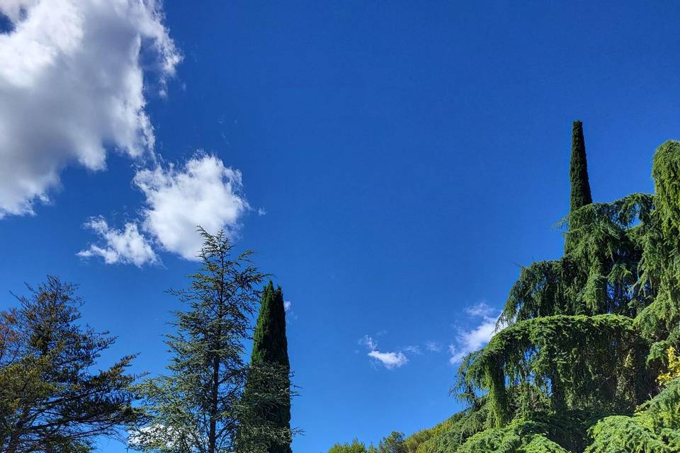 Jardin