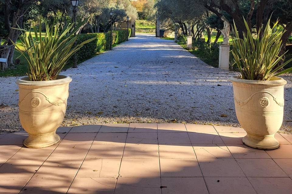Entrée