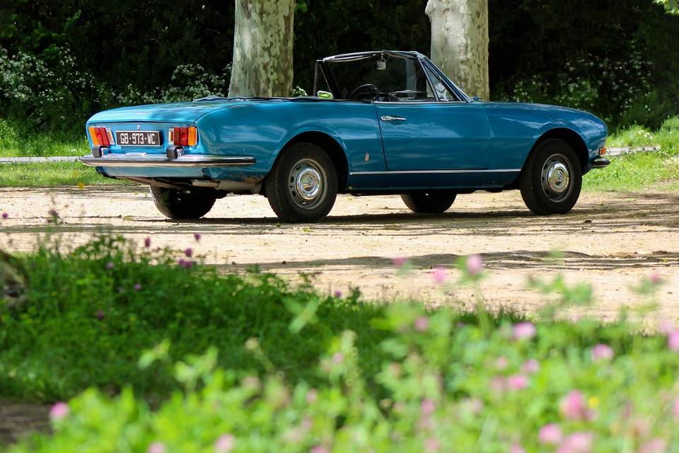 Peugeot 504