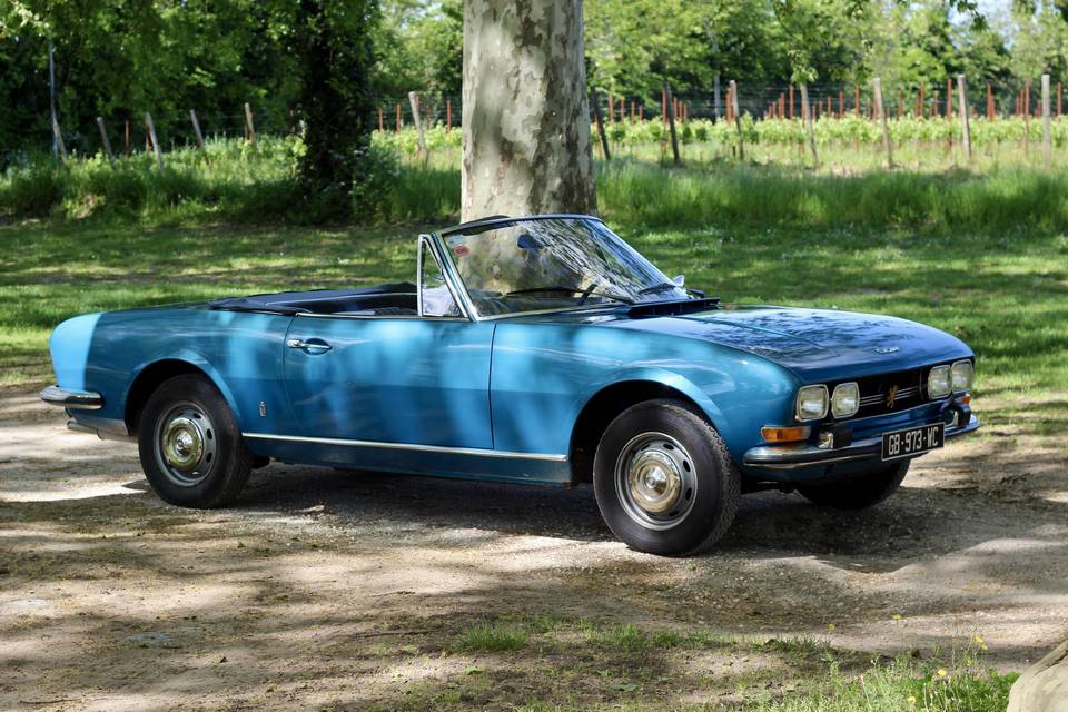 Peugeot 504