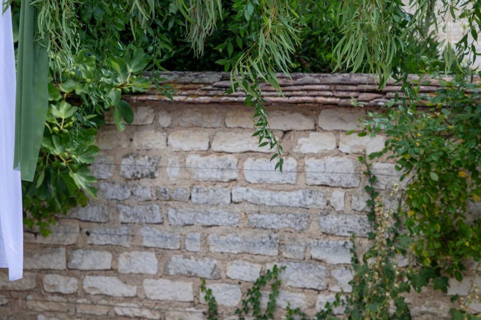 Arche