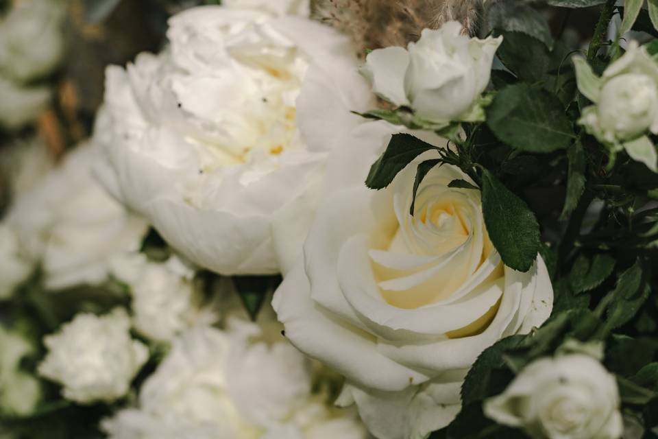 Claudia Grace Photography