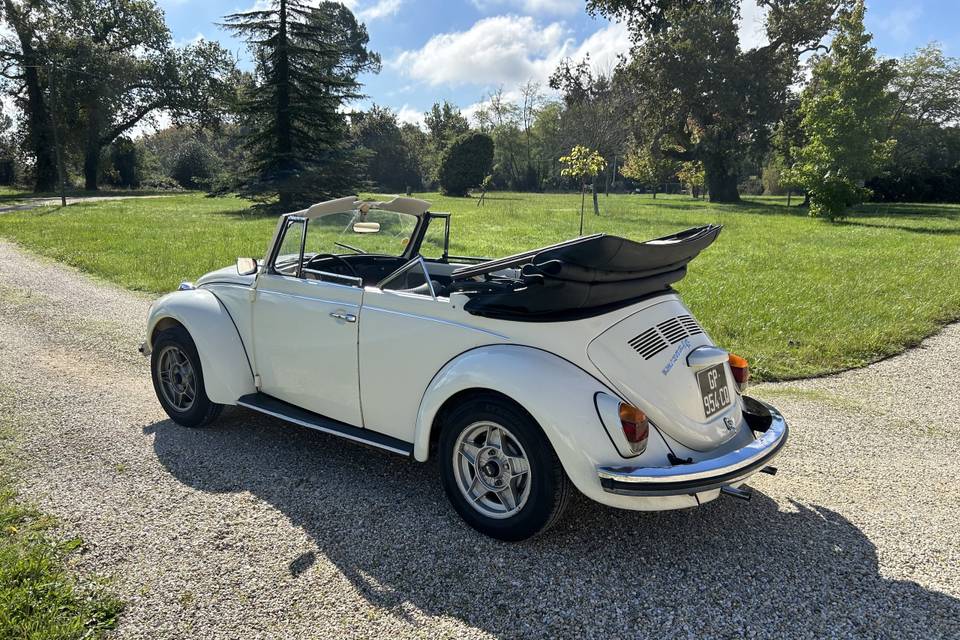 Aile Volkswagen Coccinelle