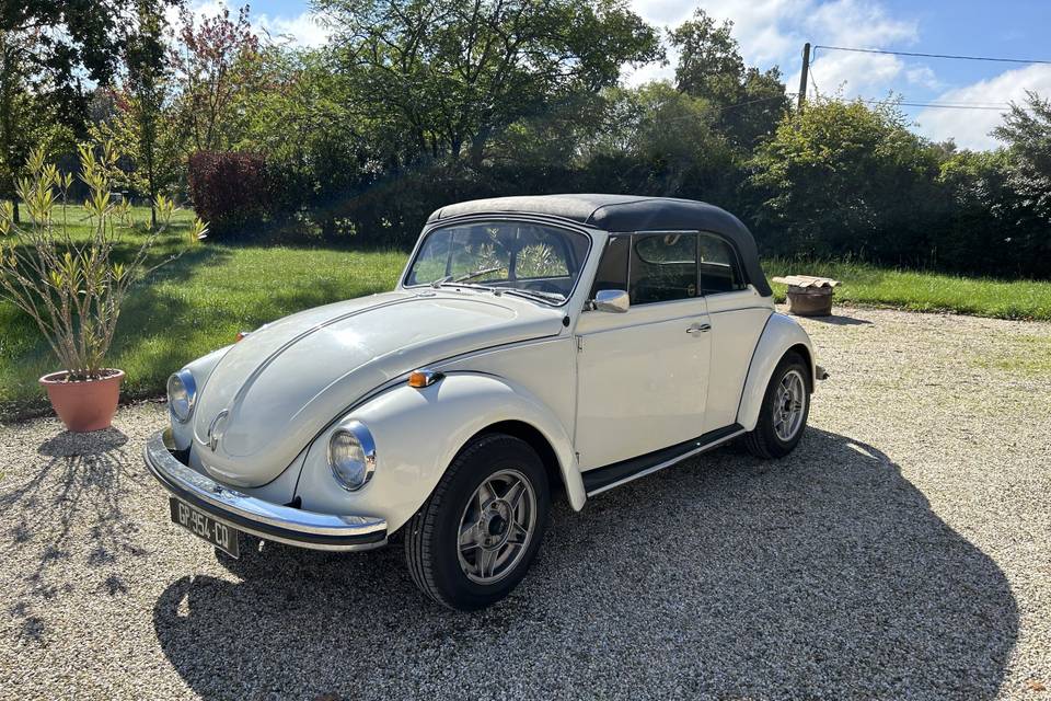 Volkswagen Coccinelle