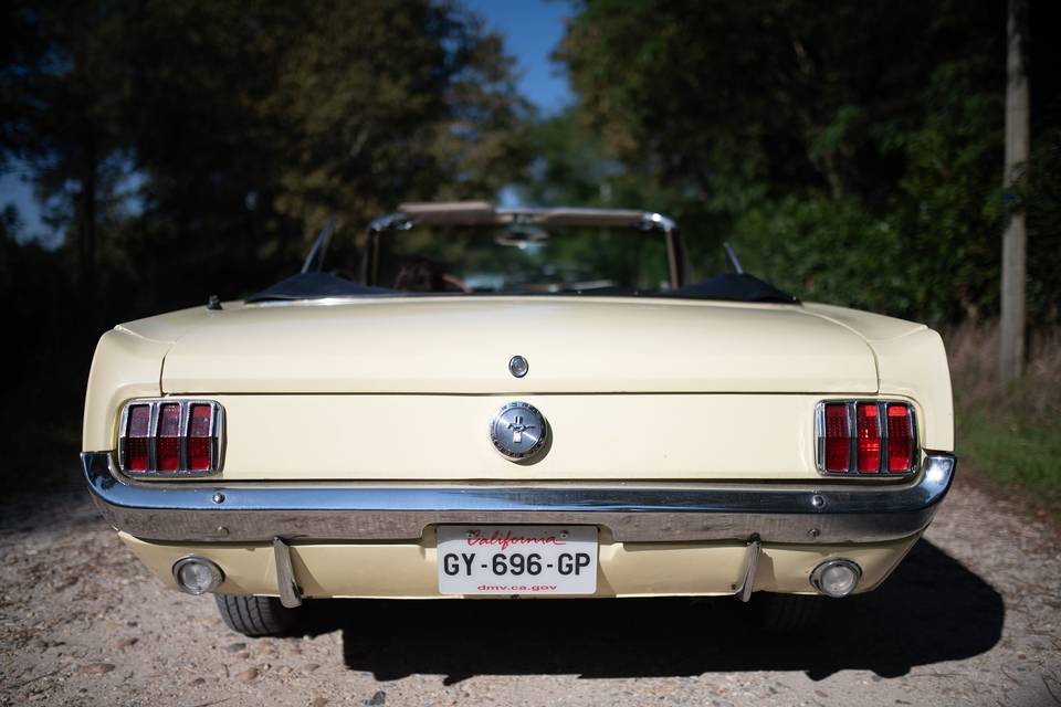 Ford Mustang 1966 arrière