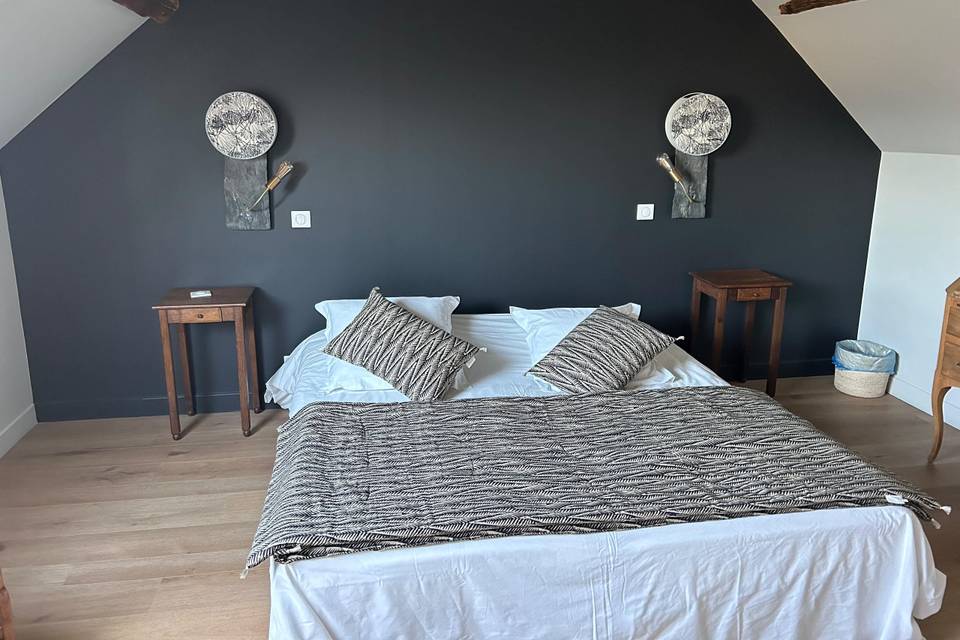Chambre type 1