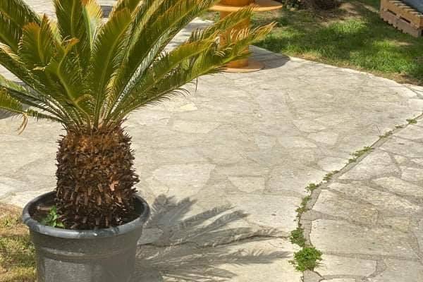 Jardin