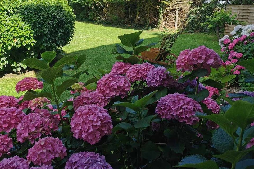 Jardin