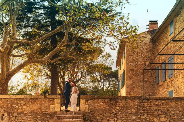 Les platanes centenaires