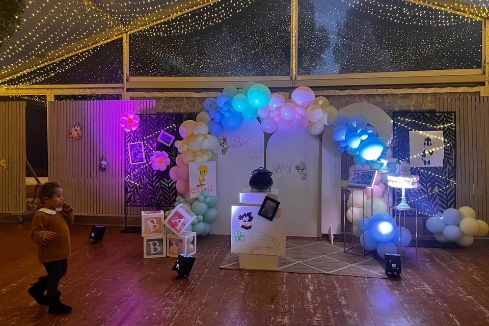 Gender reveal Tiny Toons