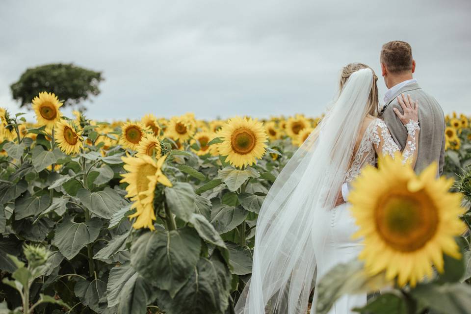 Couple tournesols