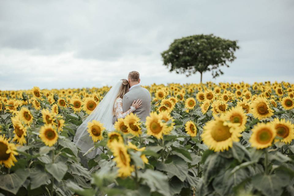 Couple tournesols