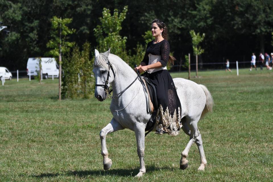 Spectacle en pleine nature