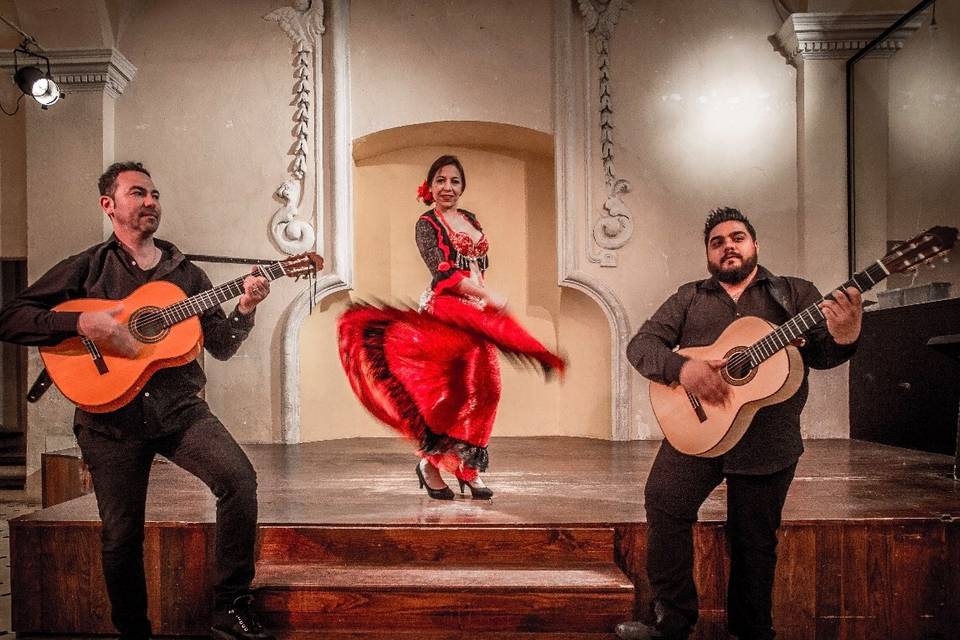 Spectacle flamenco