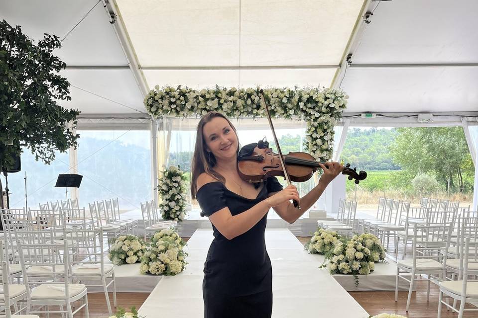 Violon covers