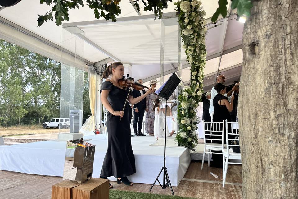 Violoniste mariage