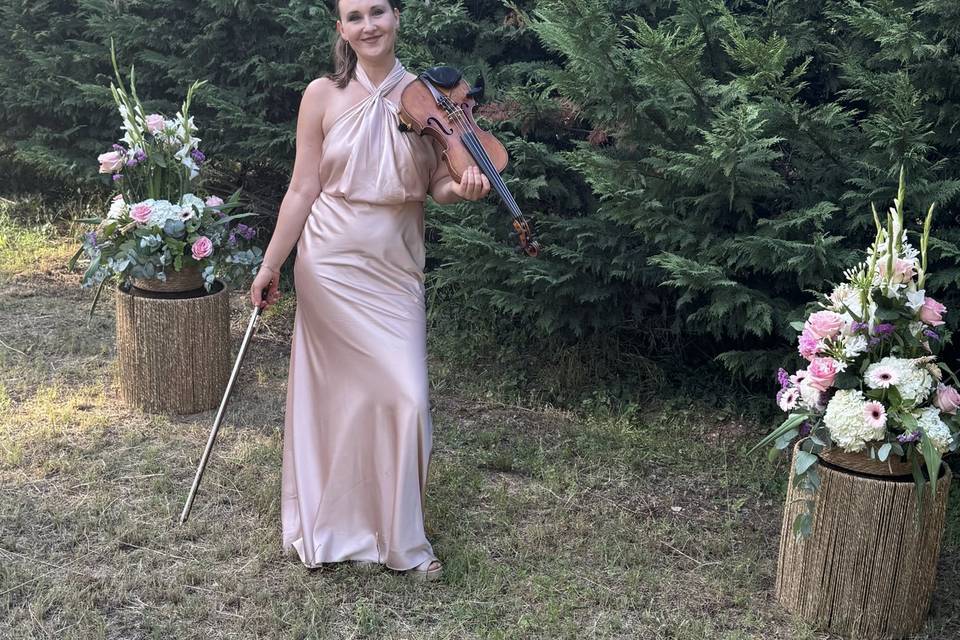 Magic violon