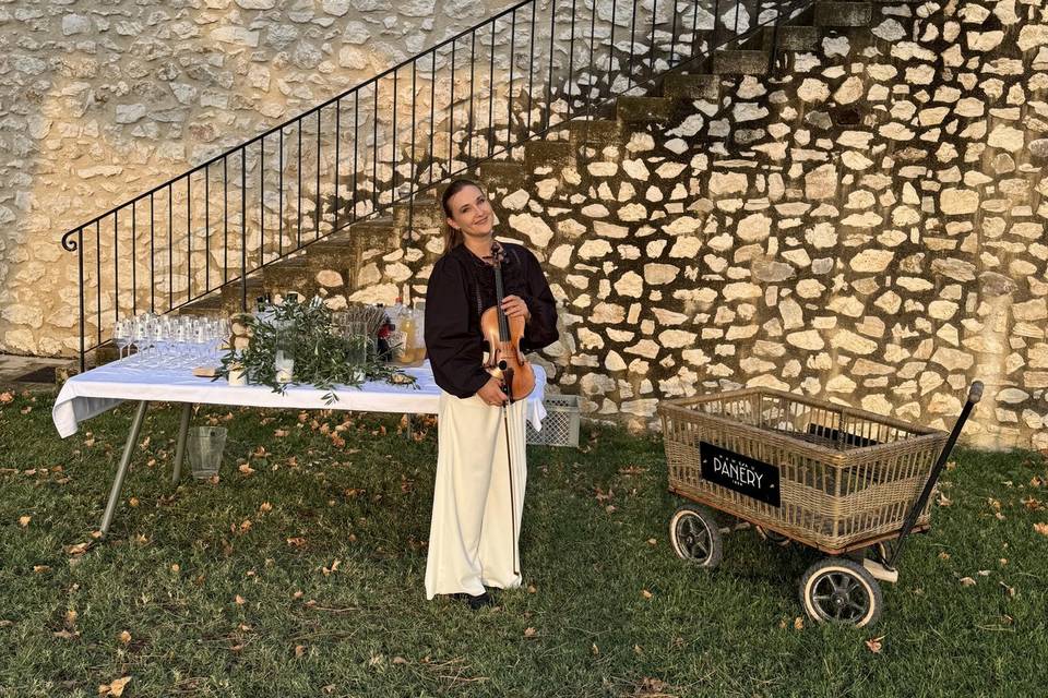 Violon covers