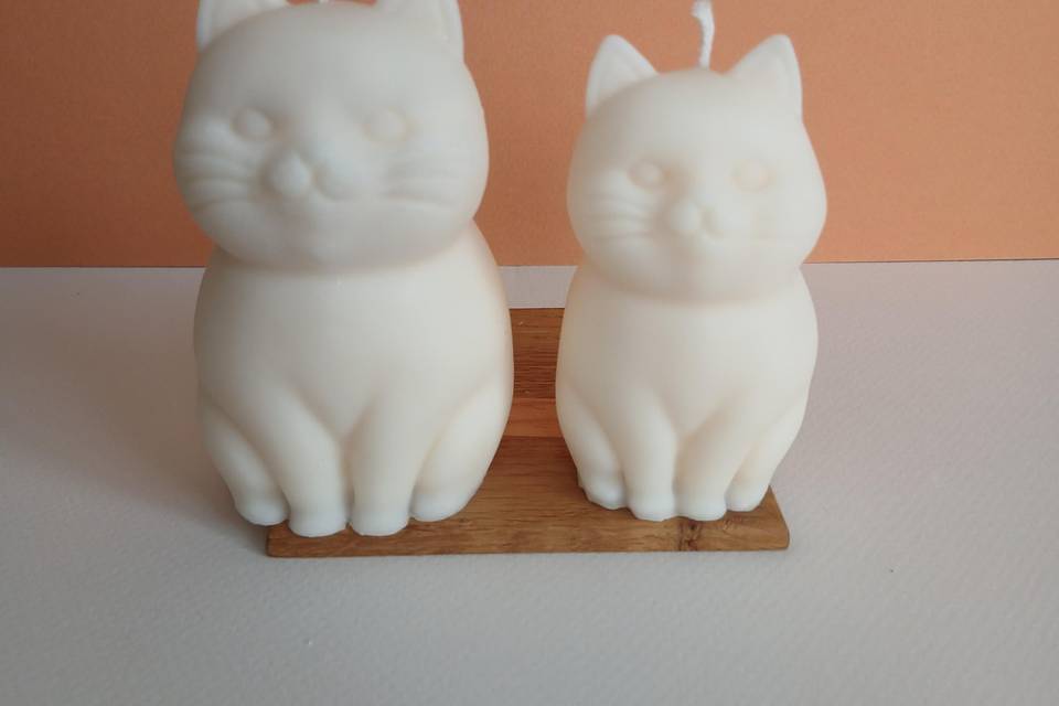 Bougies chat cire de colza