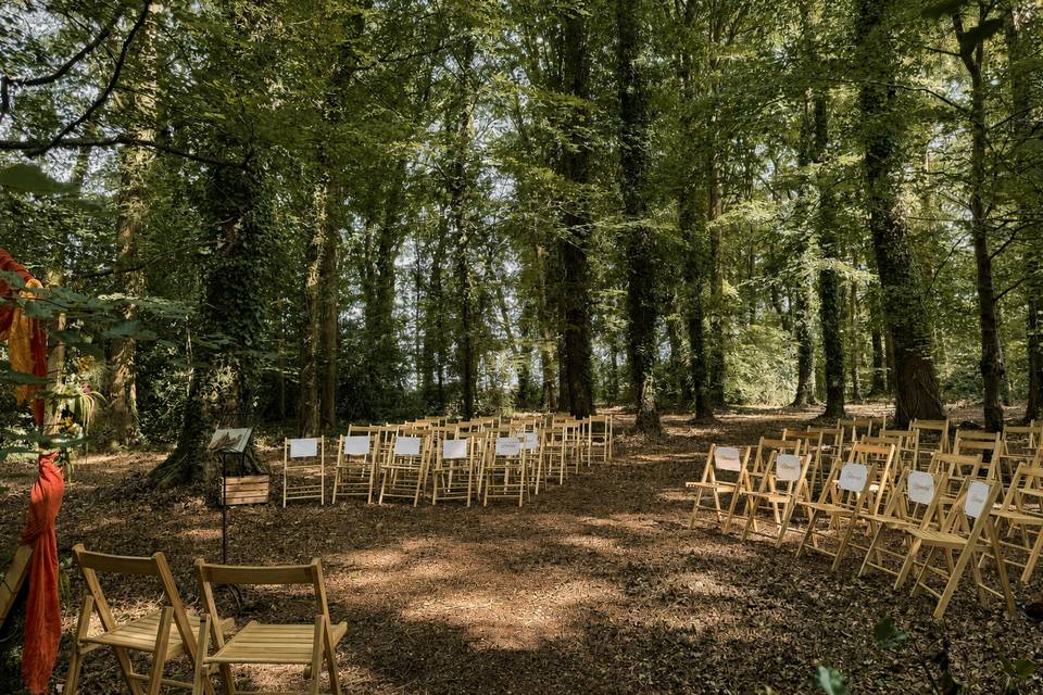 Espace cérémonie en forêt