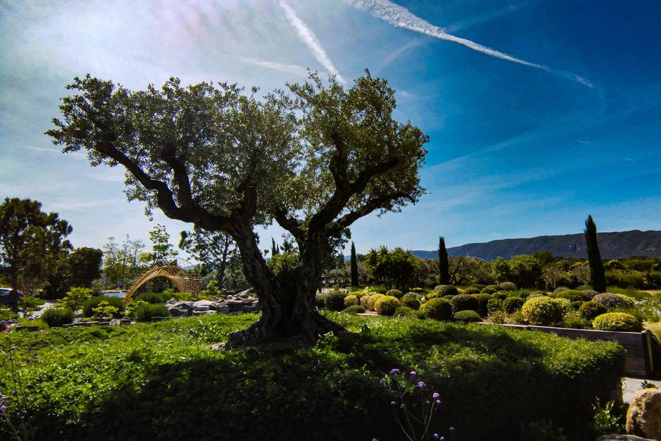 Provence, toujours...