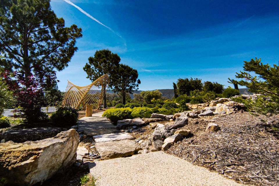 Cannes Vivantes de Provence