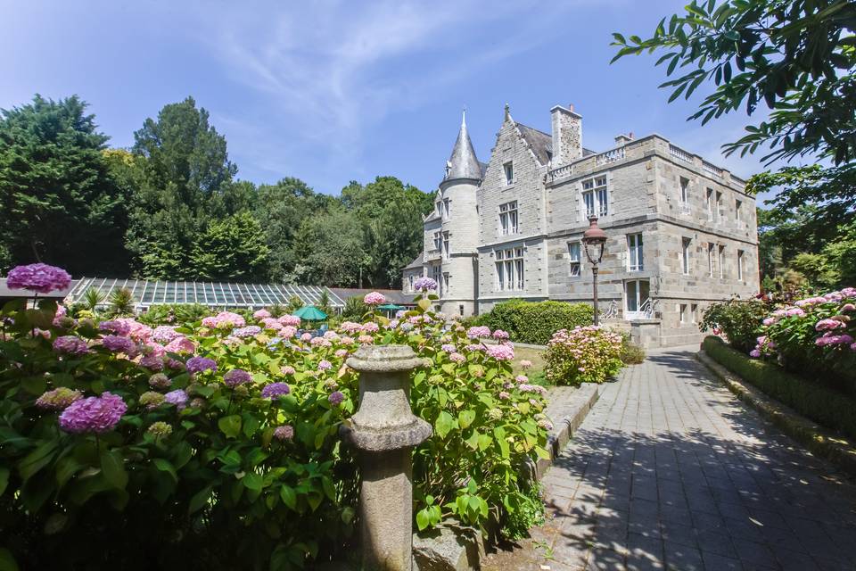 Arrière hortensias