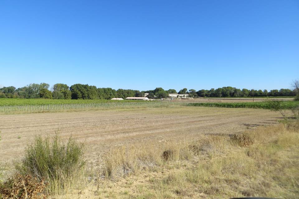 Le domaine vu depuis une de se