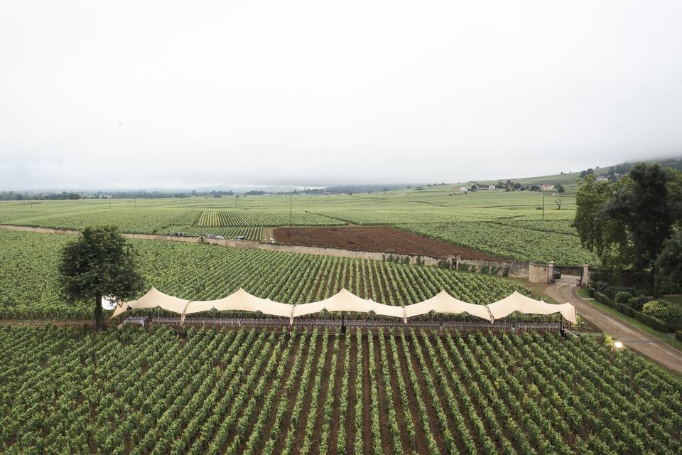 Tente stretch vignes