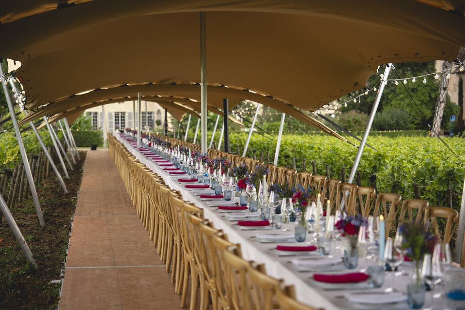 Tente stretch vignes