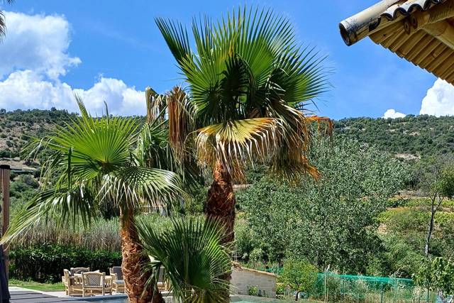 Piscine vue sur les collines