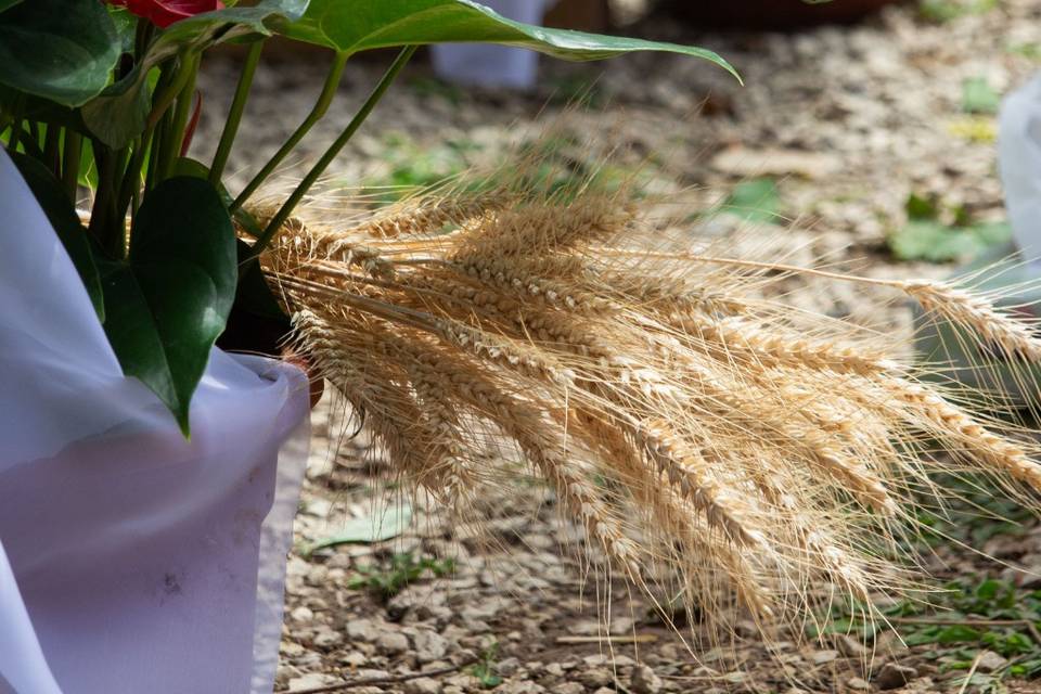 Décoration de la cérémonie
