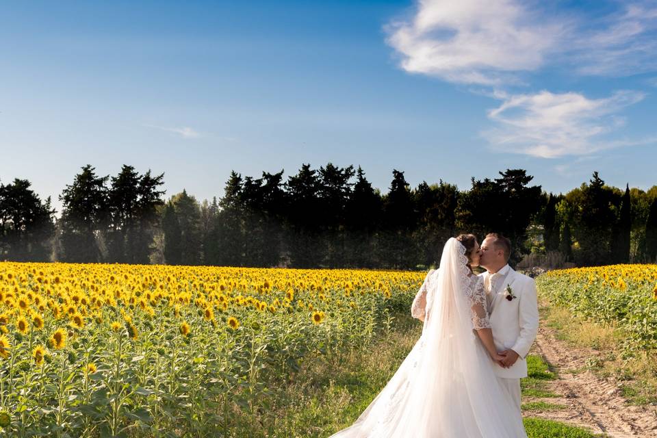 Couple tournesols