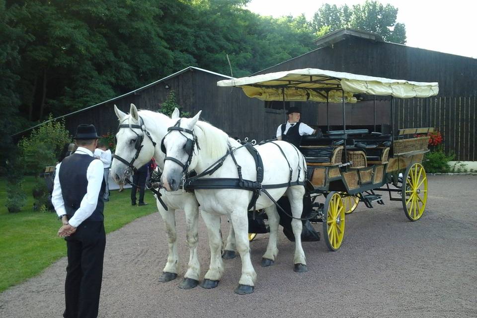 Mariage wagonnette