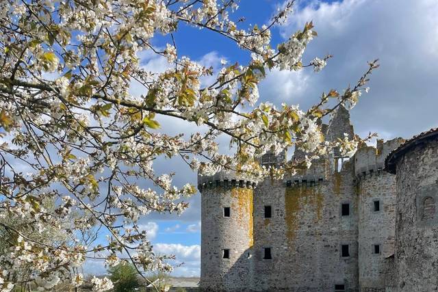 Château de l'Ébaupinay
