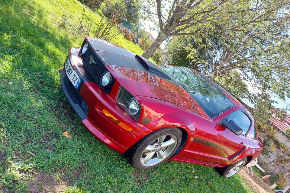 Mustang GT-CS