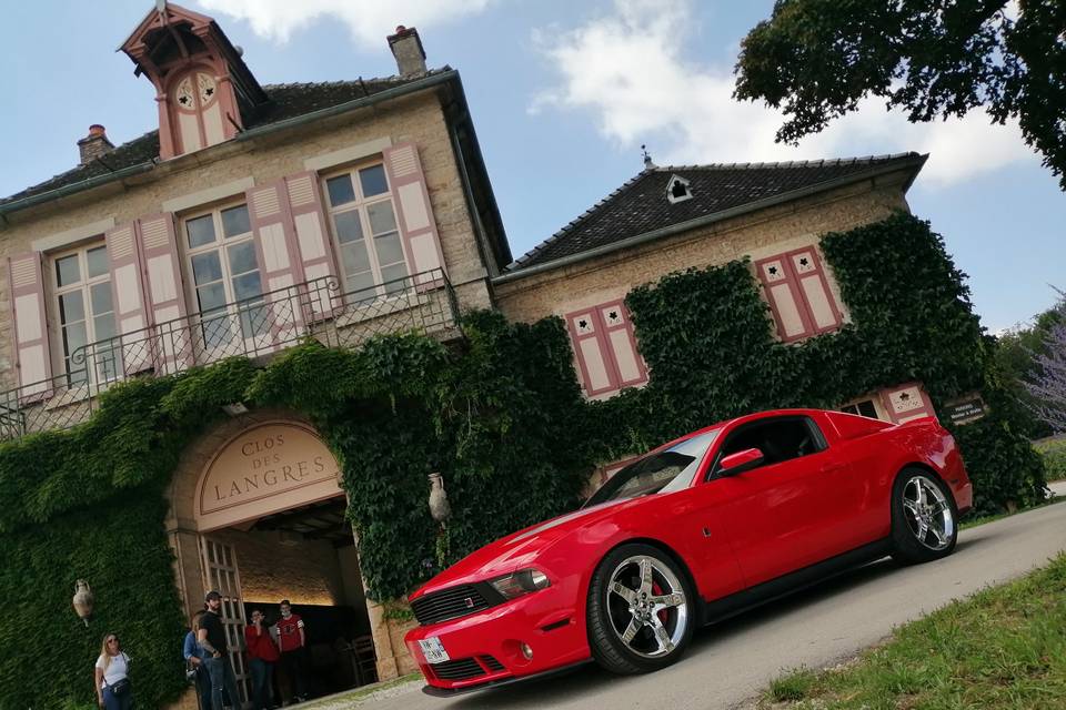 Mustang Roush 2011