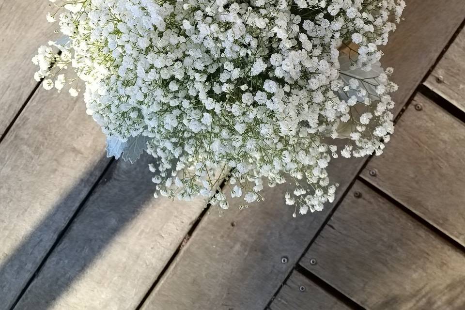 Gypsophile