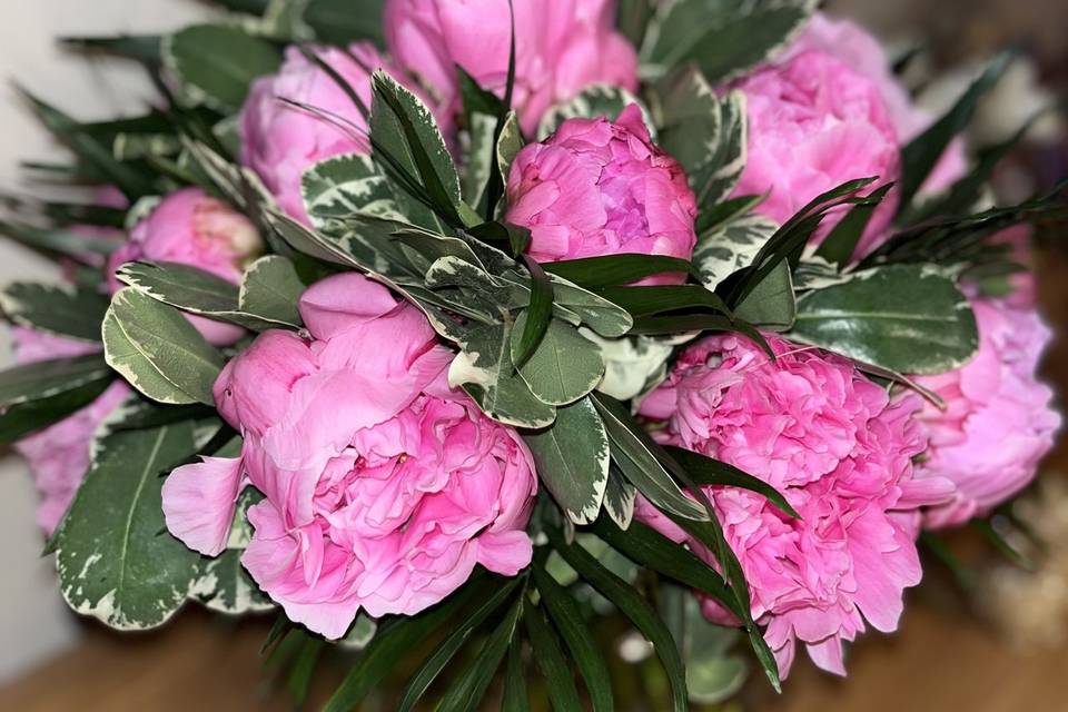 Pivoines