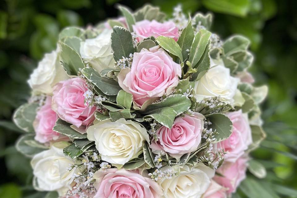 Roses
