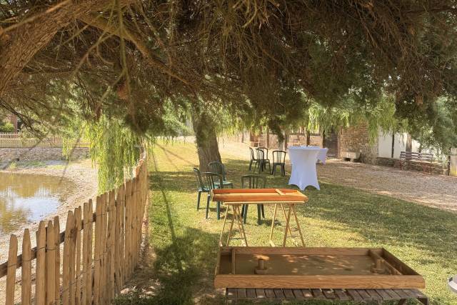 Jardin arboré