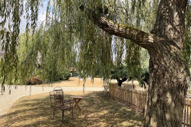 Jardin arboré