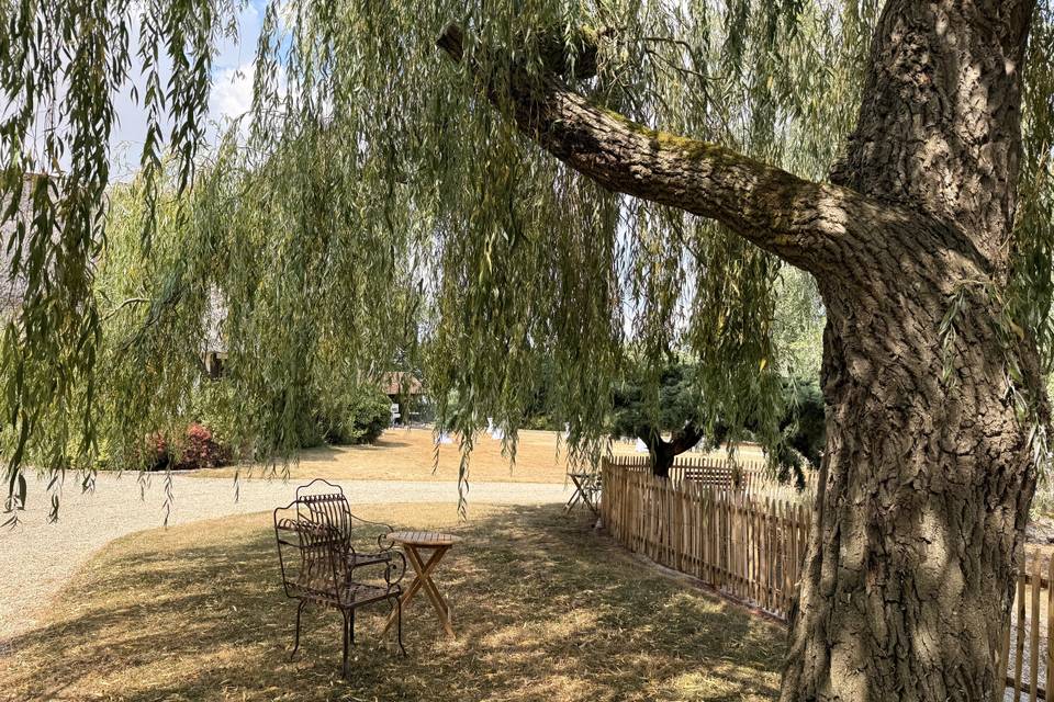 Jardin arboré