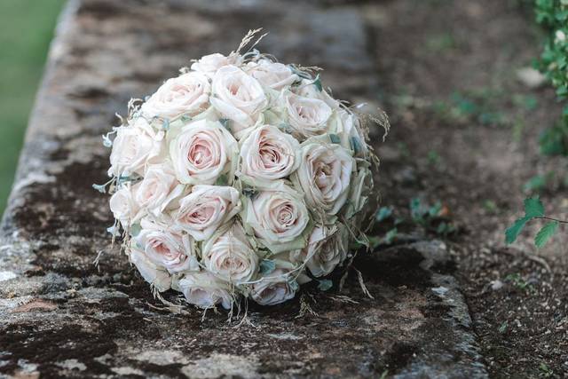 Aux Fleurs Précieuses