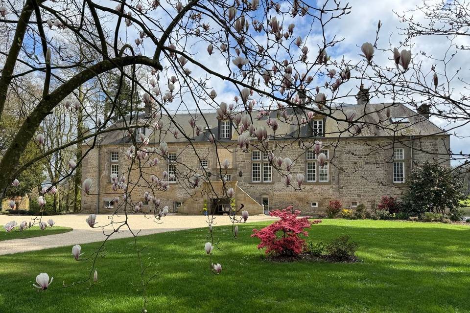 Château cour