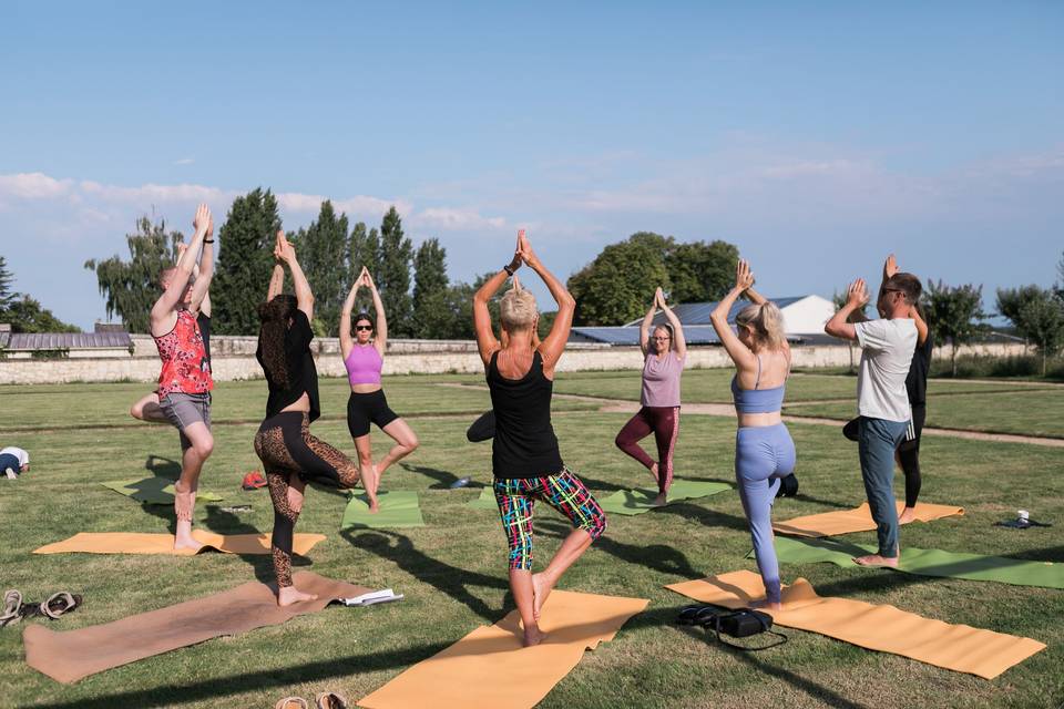 Cours de Yoga