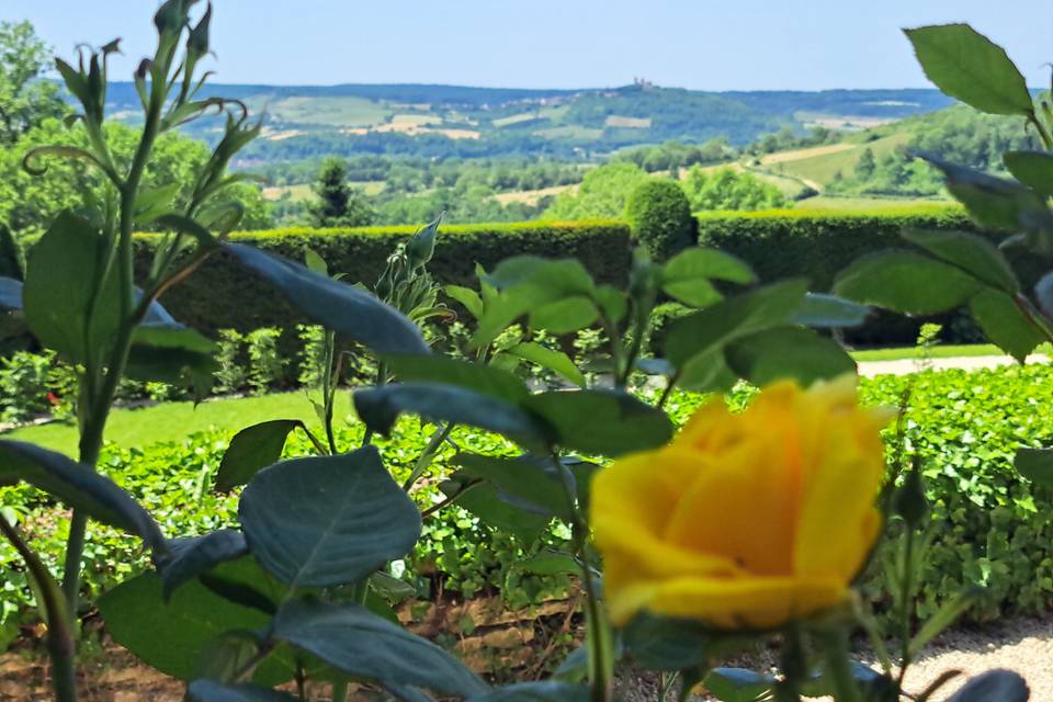 Jardins